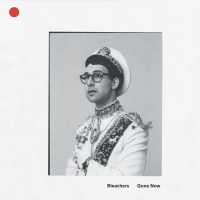 Bleachers - Gone Now vinyl cover