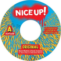 Blend / Roots Evolution (Ft Skarra Mucci & Mandinka Warrior) Mishkin - Original vinyl cover