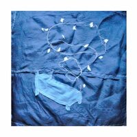 Bleu Shinobi - Things You Won't Do Today vinyl cover