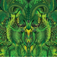 Blind Idiot God - Before Ever After vinyl cover