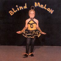 Blind Melon - Blind Melon vinyl cover