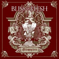 Bliss of Flesh - Metapsychosis vinyl cover