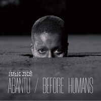 Blk Jks - Abantu/Before Humans vinyl cover