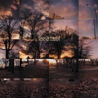 Blockhead - Music By Cavelight (Burnt Orange Marble) vinyl cover
