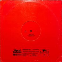 Blood Cultures - Skate Story Vol. 1 vinyl cover