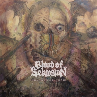 Blood Of Seklusion - Servants Of Chaos vinyl cover