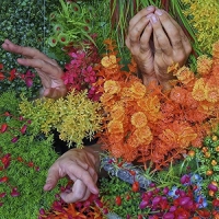 Blood Wine Or Honey - Anxious Party People vinyl cover