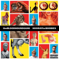 Bloodhound Gang - Hooray For Boobies vinyl cover