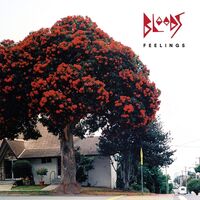 Bloods - Feelings vinyl cover