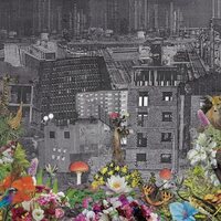 Bloody Head - Perpetual Eden vinyl cover