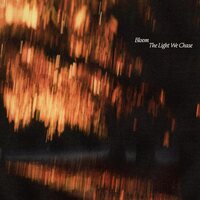Bloom - The Light We Chase vinyl cover