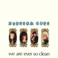 Blossom Toes - We Are Ever So Clean (Remastered) vinyl cover
