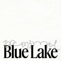 Blue Lake - The Animal vinyl cover