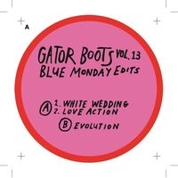 Blue Mondays - Gator Boots Vol. 13 vinyl cover