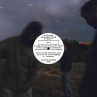 Bluestaeb & Melodiesinfonie & S. Fidelity - 365 P vinyl cover