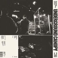 Bluestaeb S. Fidelity Underground Canopy - Blustaeb & S.fidelity Present Underground Canopy vinyl cover