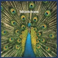 Bluetones - Expecting To Fly: 20Th Anniversary Edition vinyl cover