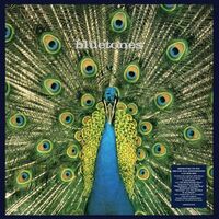 Bluetones - Expecting To Fly: 25Th Anniversary vinyl cover