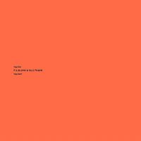 F.S Blumm & Nils Frahm - Tag Eins Tag Zwei vinyl cover