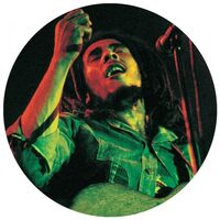 Bob Marley - The Soul Of A Rebel - A Gorgeous Picture Disc Vinyl vinyl cover