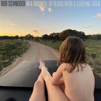 Bob Schneider - In A Roomful Of Blood With A Sleeping Tiger vinyl cover