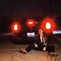 Bobby Conn - Recovery vinyl cover