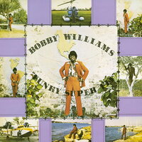 Bobby Williams - Funky Super Fly vinyl cover