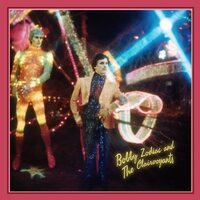 Bobby Zodiac & the Clairvoyants - Bobby Zodiac & The Clairvoyants vinyl cover