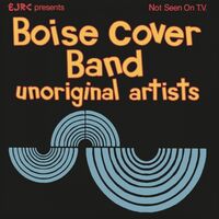 Boise Cover Band - Unoriginal Artists vinyl cover