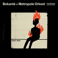 Bokante - What Heat vinyl cover