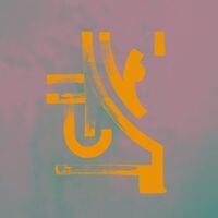 Bokoya - Hausensession vinyl cover