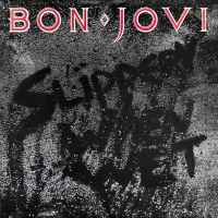 Bon Jovi - Slippery When Wet vinyl cover