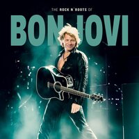Bon Jovi - The Rock N Roots of vinyl cover