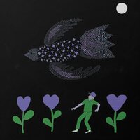 Bonnie Prince Billy - The Purple Bird vinyl cover