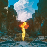 Bonobo - Migration vinyl cover
