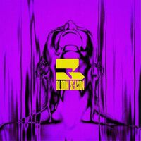 Borders - Bloom Season - Yellow & Violet Marbled vinyl cover