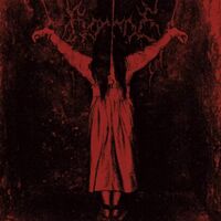 Borgne - Y vinyl cover