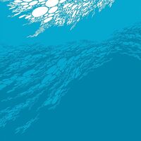Boris - Flood vinyl cover