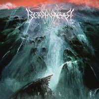 Borknagar - Fall vinyl cover