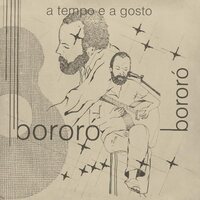 Bororo - A Tempo E A Gosto vinyl cover