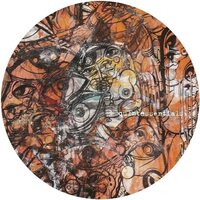 Borrowed Identity - Reminisce vinyl cover