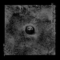 Bostro Pesopeo - Meti vinyl cover