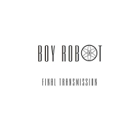 Boy Robot - Final vinyl cover