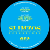 Boylan - Overlook / Mostly Come At Night vinyl cover