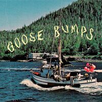 Boyscott - Goose Bumps (Dark Blue & Powder Blue Galaxy) vinyl cover