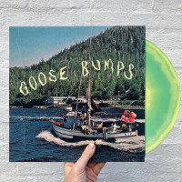 Boyscott - Goose Bumps (Green & Blonde Swirl) vinyl cover