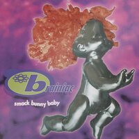 Brainiac - Smack Bunny Baby vinyl cover