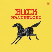 Brainstory - Buck vinyl cover