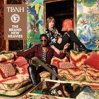 Brand New Heavies - Tbnh vinyl cover