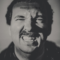 Brandt Brauer Frick - Joy vinyl cover